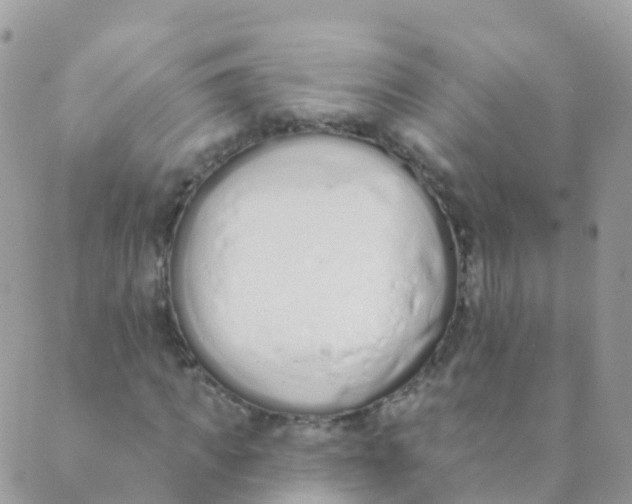 X0000089420917200707061315