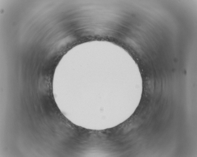 X0000089420918200707061315