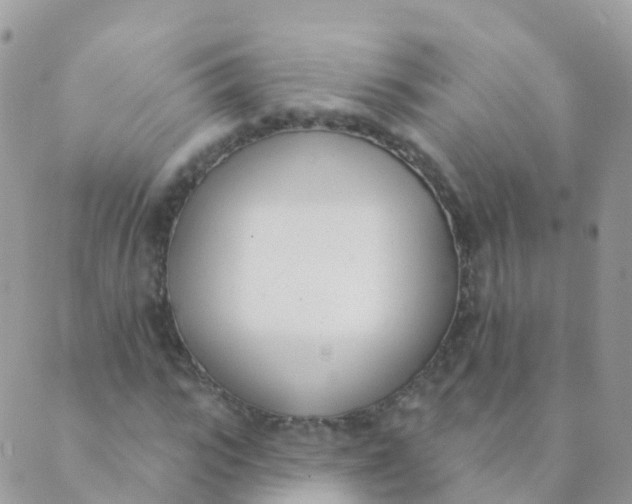 X0000089420919200707061315