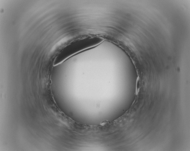 X0000089420920200707061315