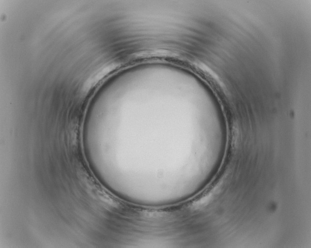 X0000089420921200707061315