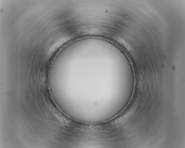 X0000089420922200707061315