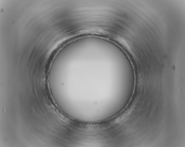 X0000089420923200707061315