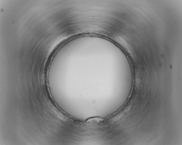 X0000089420924200707061315