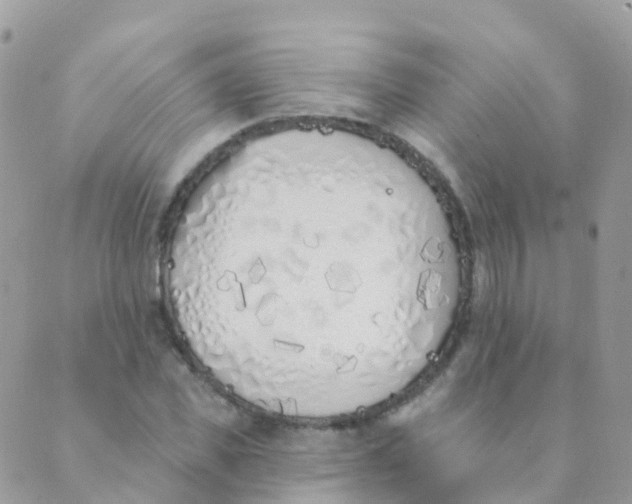 X0000089420925200707061315