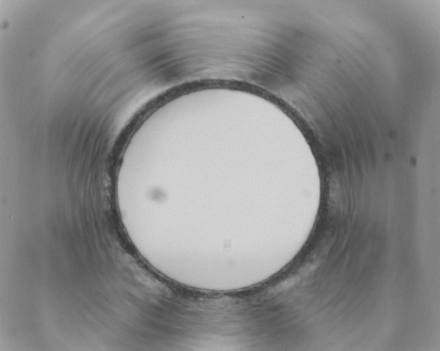 X0000089420926200707061315