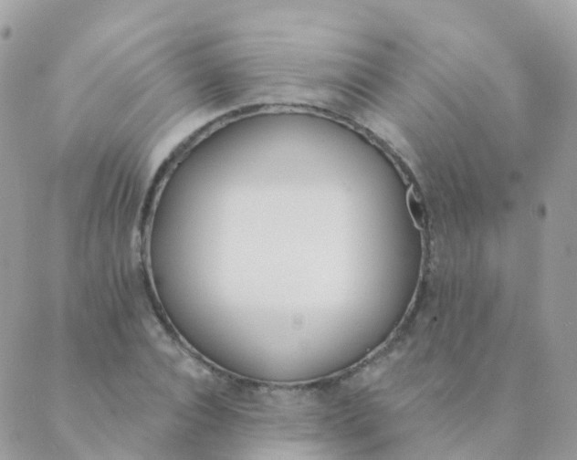 X0000089420928200707061315