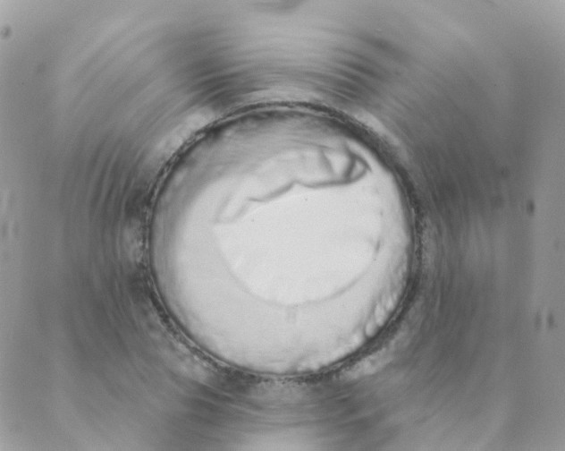 X0000089420929200707061315