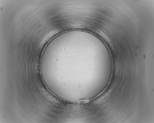 X0000089420930200707061315