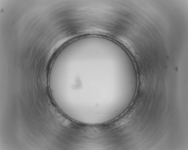 X0000089420931200707061315