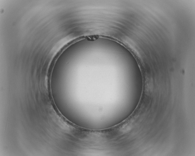 X0000089420932200707061315