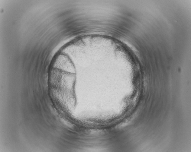 X0000089420933200707061315