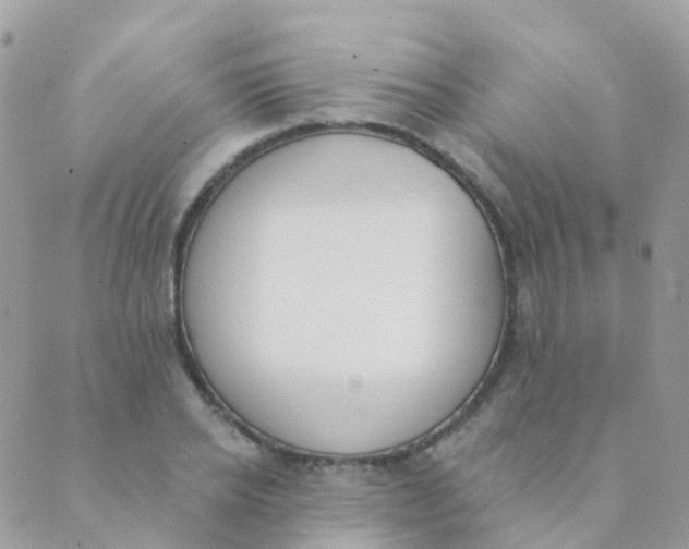 X0000089420934200707061315