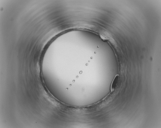 X0000089420936200707061315