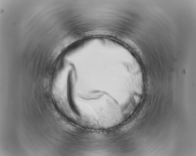 X0000089420937200707061315