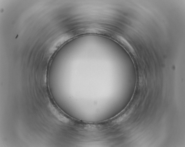 X0000089420938200707061315