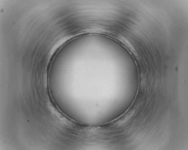 X0000089420939200707061315