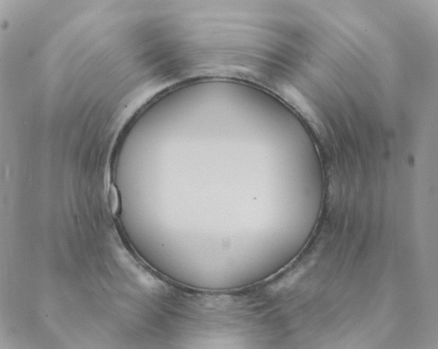 X0000089420940200707061315