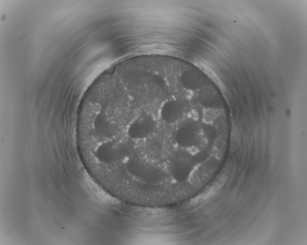 X0000089420941200707061315