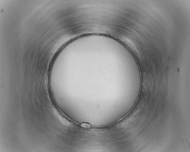 X0000089420942200707061315