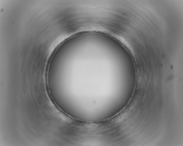 X0000089420943200707061315