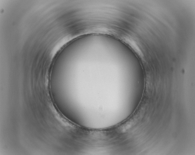 X0000089420944200707061315