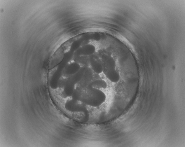 X0000089420945200707061315