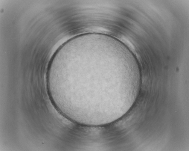 X0000089420947200707061315