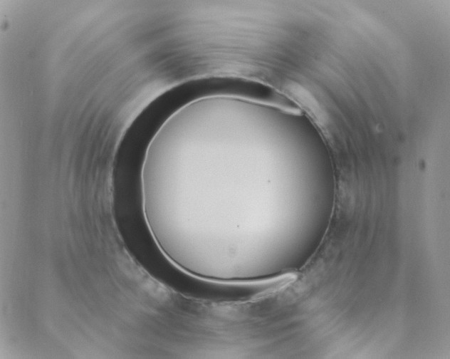 X0000089420948200707061315