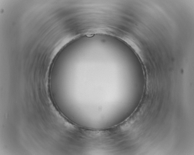 X0000089420949200707061315