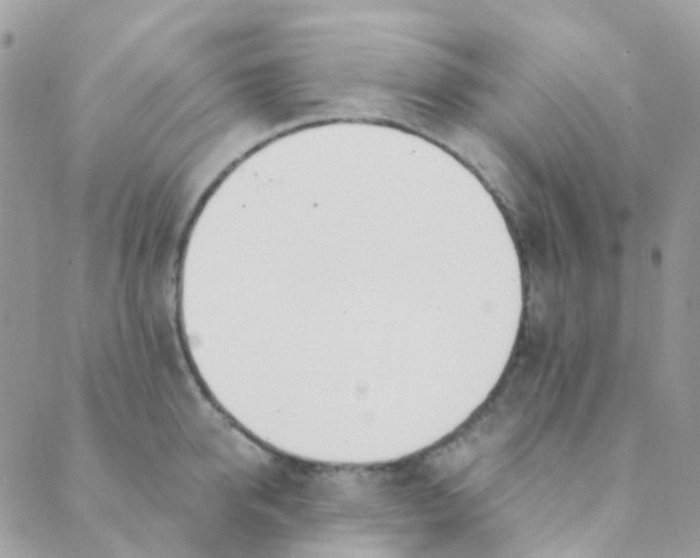 X0000089420950200707061315