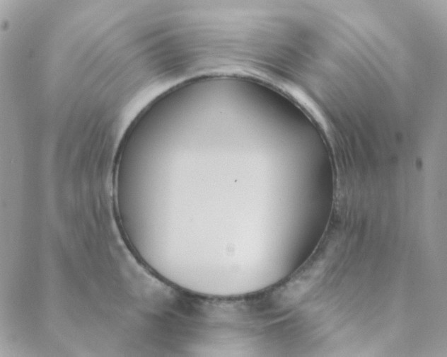 X0000089420951200707061315