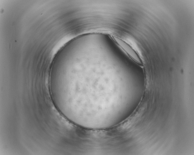 X0000089420952200707061315