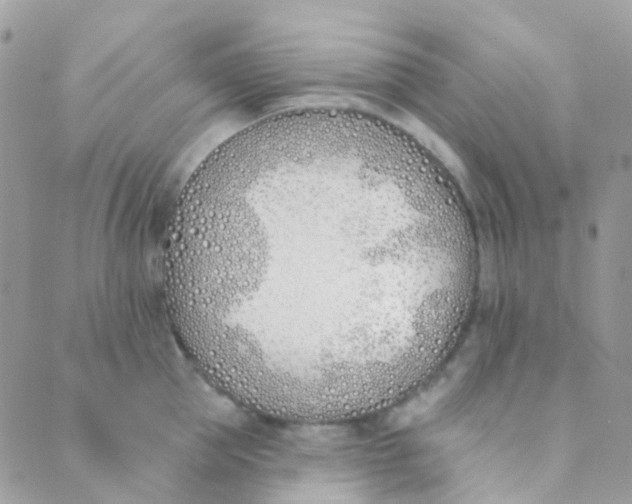 X0000089420953200707061315