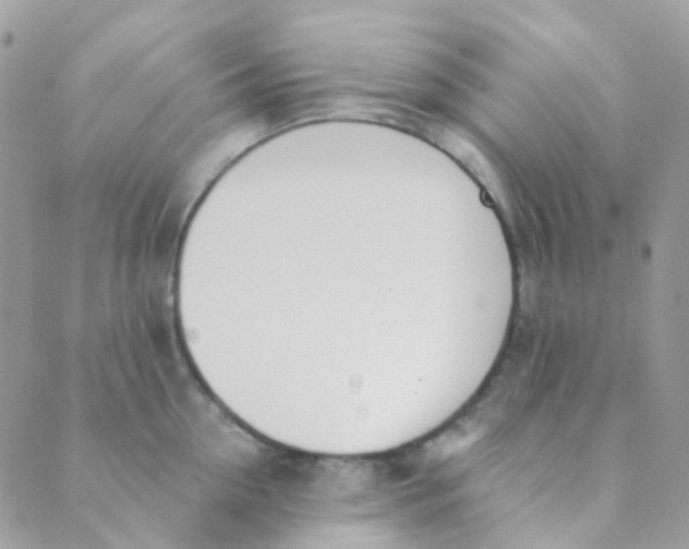 X0000089420954200707061315