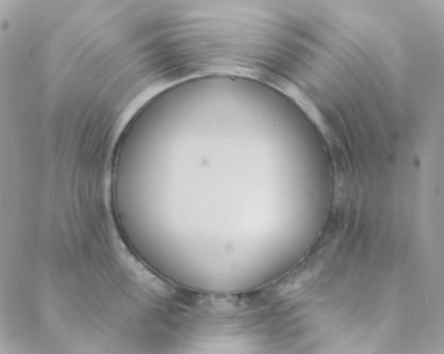 X0000089420955200707061315