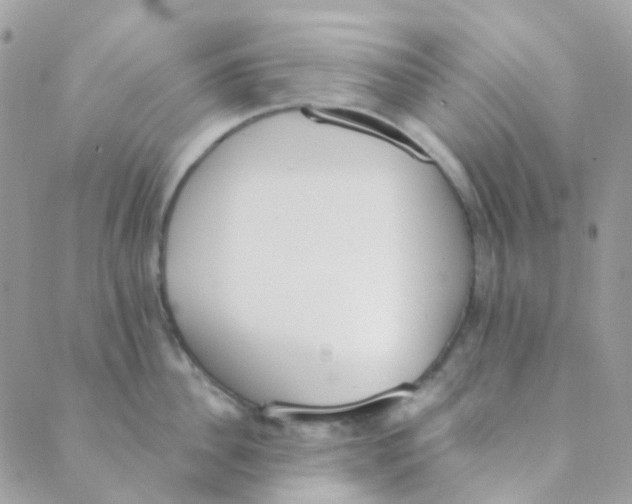 X0000089420956200707061315