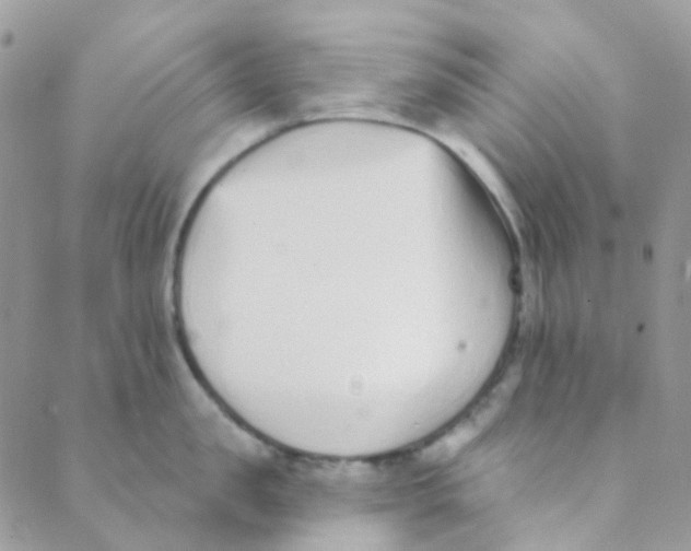 X0000089420957200707061315