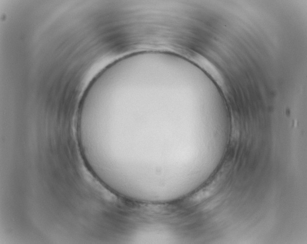 X0000089420958200707061315