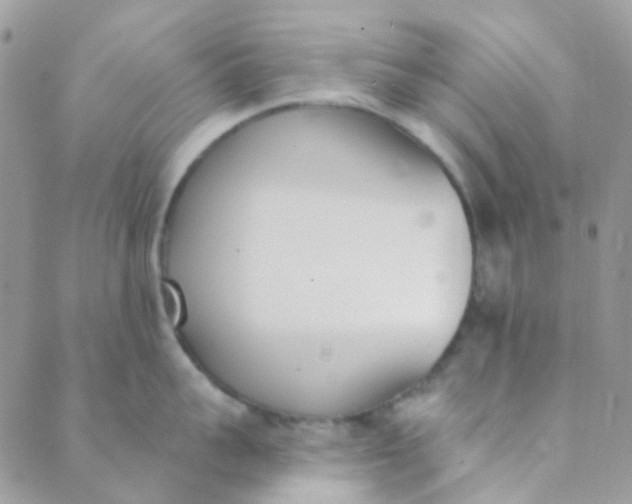 X0000089420959200707061315