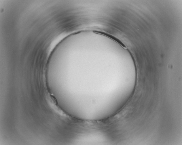 X0000089420960200707061315