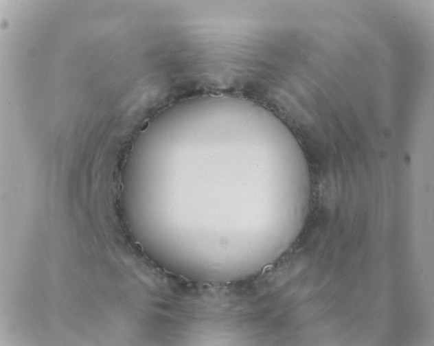 X0000089420961200707061315