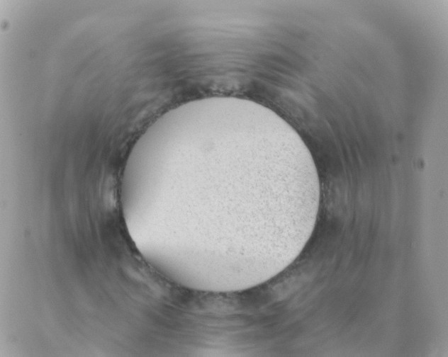 X0000089420962200707061315