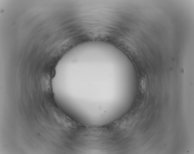 X0000089420963200707061315