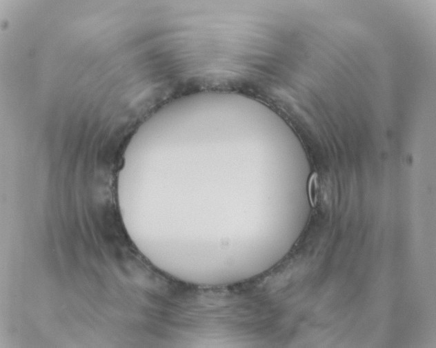 X0000089420964200707061315