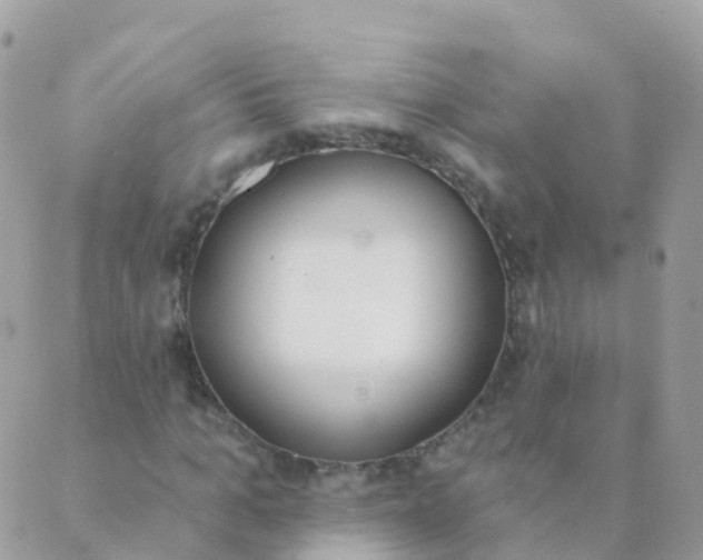 X0000089420965200707061315