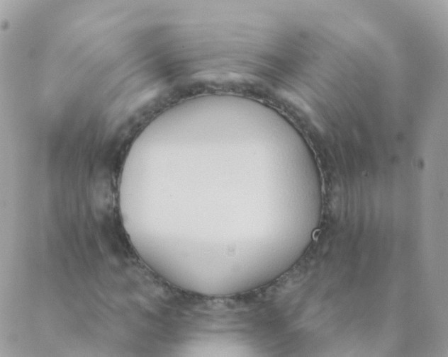 X0000089420966200707061315