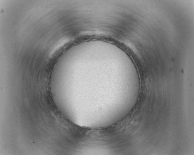 X0000089420967200707061315