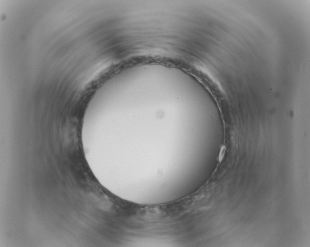 X0000089420968200707061315