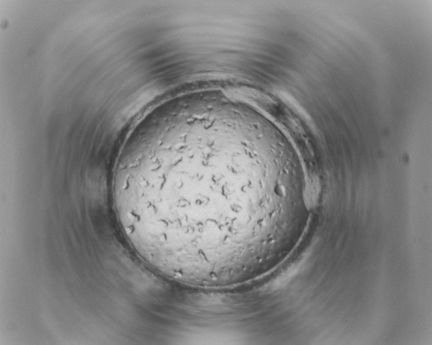 X0000089420969200707061315